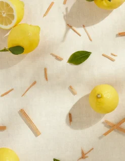 Amalfi Lemon Luxury 2 Wick Candle