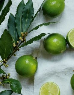Lime & Bay Signature Candle