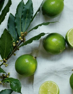 Lime & Bay Signature Candle