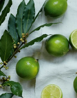 Lime & Bay Signature Candle