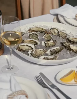 Portobello Dinner Plate