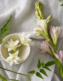 Tuberose & Cashmere Bath & Body Gift Set