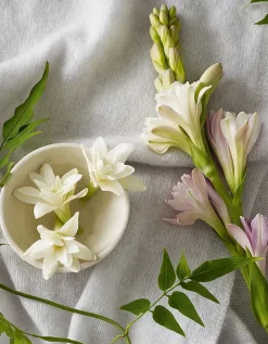 Tuberose & Cashmere Fragrance Oil