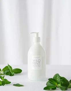 Wild Mint Collection