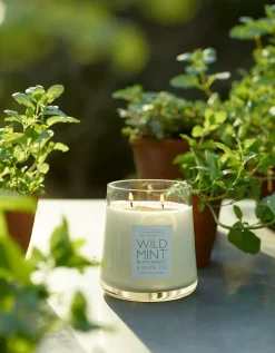 Wild Mint Collection