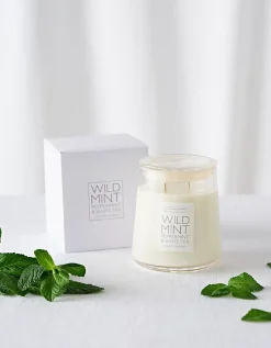 Wild Mint Collection
