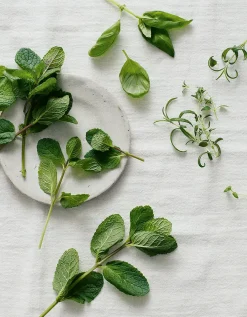 Wild Mint Hand Wash