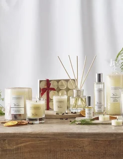 Winter Botanical Candle – Medium